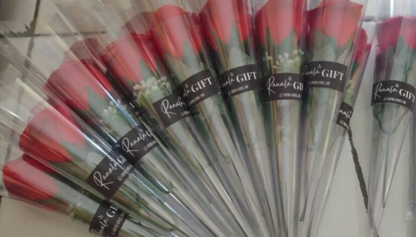 Edelweis Kering: Pesona Bunga Abadi untuk Hadiah, Dekorasi, dan Kenangan Spesial