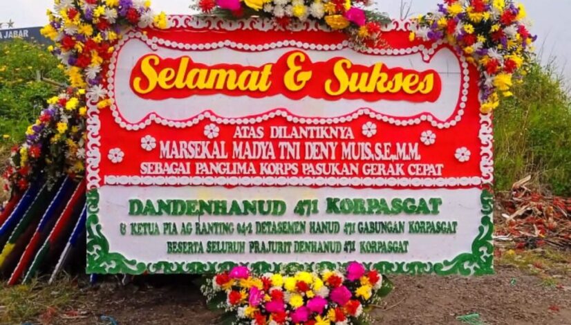 Harga Bunga Papan di Palangkaraya Sekitar 150, 250, 300, 500, 600 dan Seterusnya
