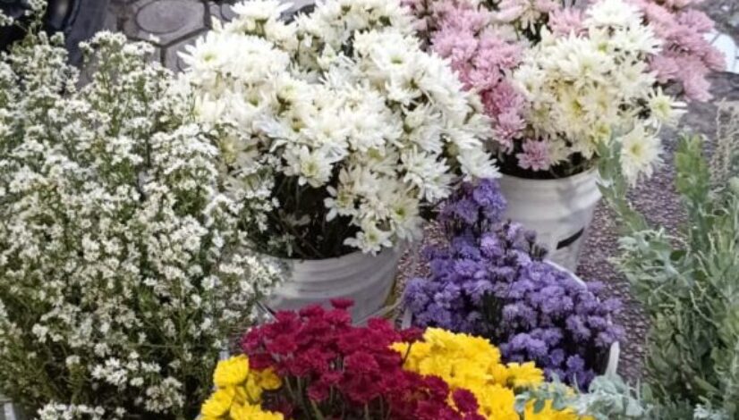 Vendor Karangan Bunga Palangkaraya 087748567736 Terpercaya & Profesional