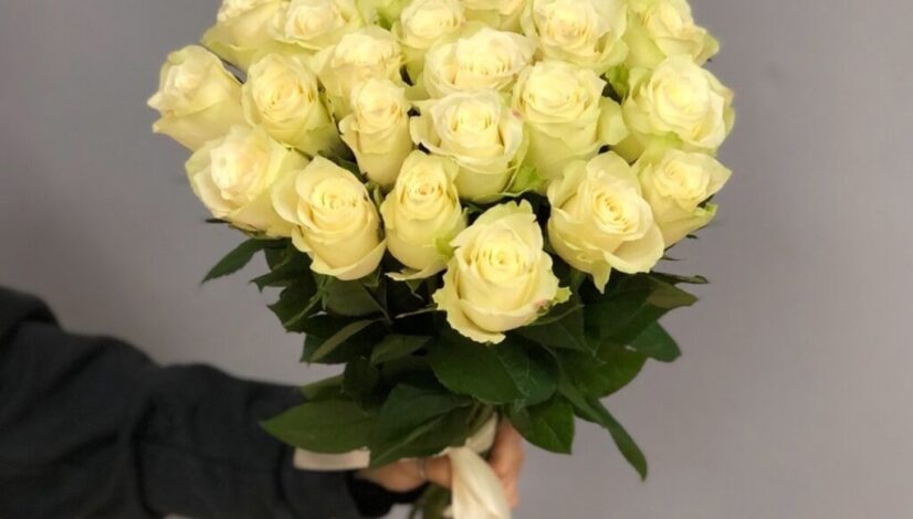 Jual Bunga Hidup Palangkaraya untuk Kebutuhan Pribadi dan Acara Resmi