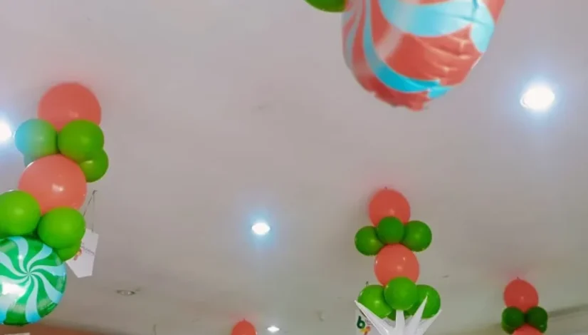 Jasa Balon Party Palangkaraya Terbaik untuk Acara Lebih Meriah