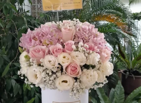 Bunga Bulan Agustus: Makna Unik Gladiol & Poppy Biar Kejutan Kamu Makin Spesial!