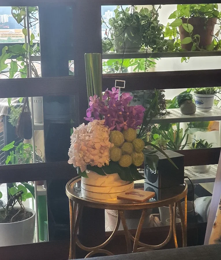 Arti Warna Mawar untuk Pacar: Panduan Memilih Kejutan Paling Pas